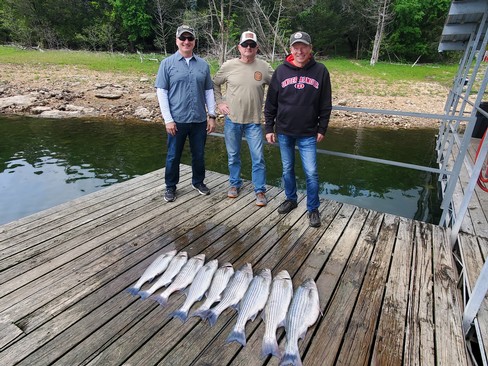 Nice Striped Bass