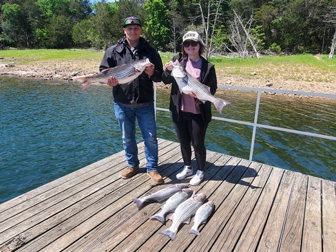 Nice Striped Bass
