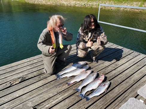 Nice Striped Bass