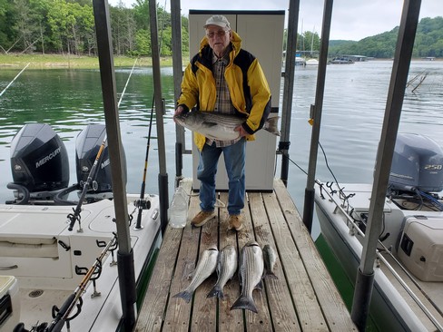 Nice Striped Bass