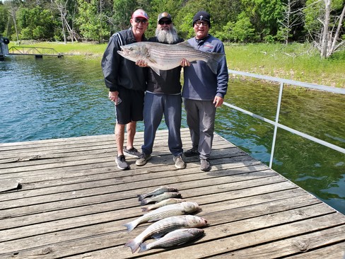 Nice Striped Bass