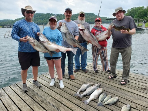 Nice Striped Bass