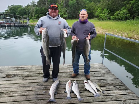 Nice Striped Bass