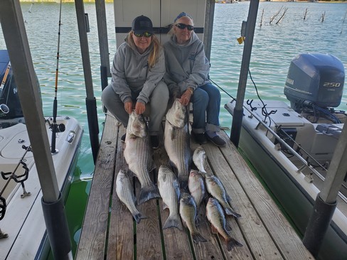 Nice Striped Bass