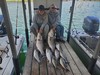 (05/24/2026) - Nice Striped Bass