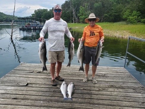 Nice Striped Bass