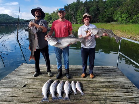 Nice Striped Bass