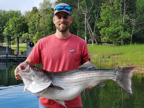 Nice Striped Bass