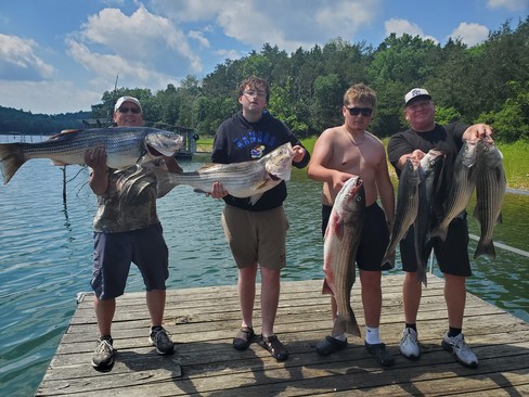 Nice Striped Bass