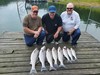 (06/06/2026) - Nice Striped Bass