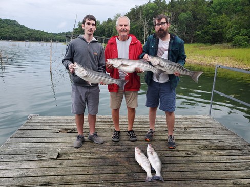 Nice Striped Bass