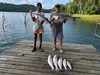 (06/11/2026) - Nice Striped Bass