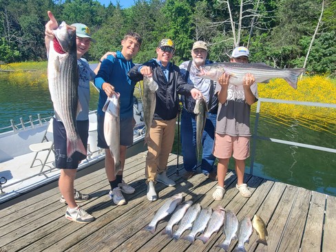 Nice Striped Bass