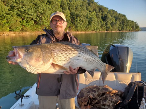 Nice Striped Bass