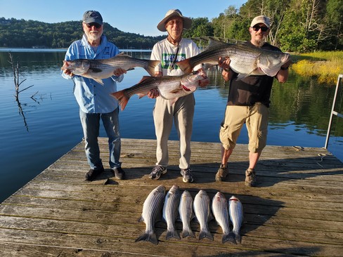 Nice Striped Bass