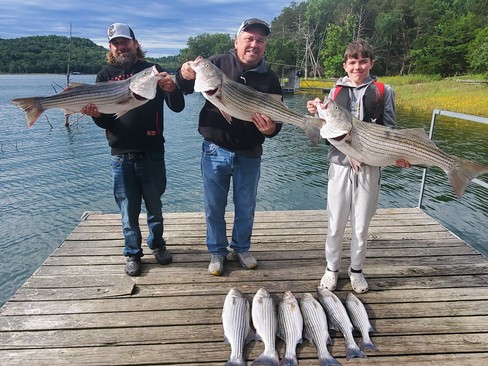 Nice Striped Bass