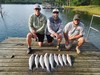(06/25/2026) - Nice Striped Bass