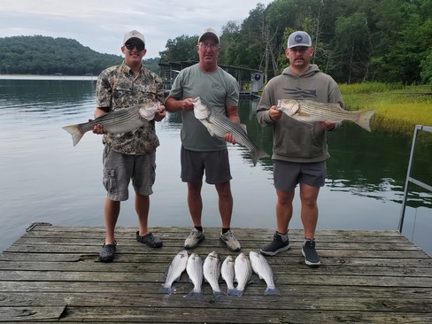 Nice Striped Bass