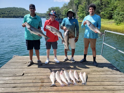 Nice Striped Bass