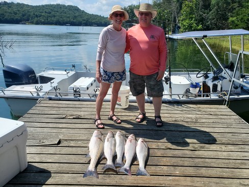 Nice Striped Bass
