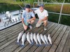 (07/06/2026) - Nice Striped Bass
