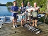 (07/07/2026) - Nice Striped Bass