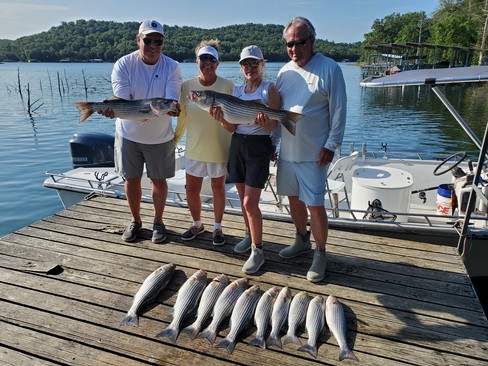 Nice Striped Bass