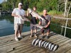(07/12/2026) - Nice Striped Bass