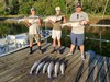 (07/13/2026) - Nice Striped Bass