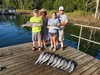 (07/14/2026) - Nice Striped Bass