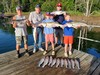 (07/17/2026) - Nice Striped Bass