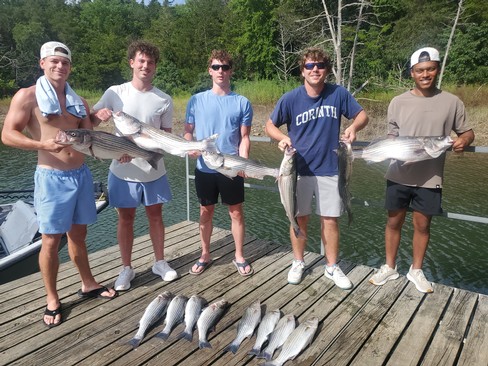 Nice Striped Bass