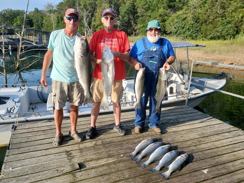 Nice Striped Bass
