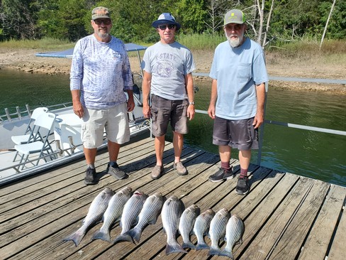Nice Striped Bass