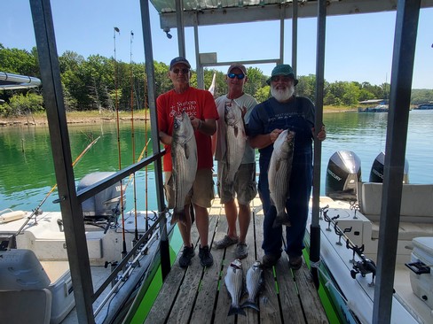 Nice Striped Bass