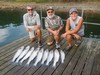 (07/31/2026) - Nice Striped Bass