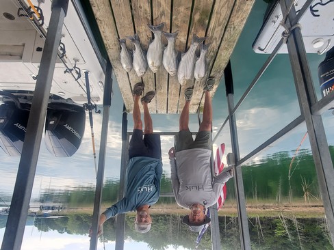 Nice Striped Bass