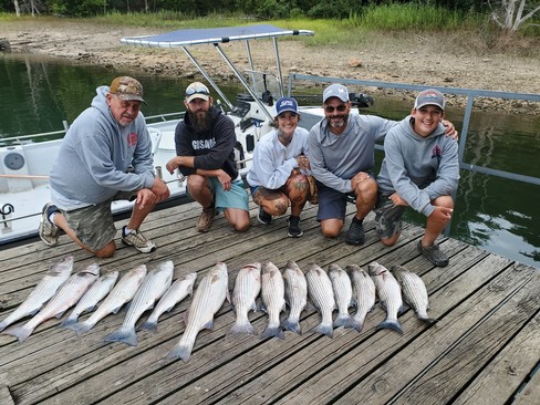 Nice Striped Bass
