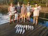 (08/08/2026) - Nice Striped Bass