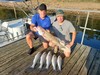 (08/23/2026) - Nice Striped Bass