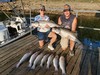 (08/25/2026) - Nice Striped Bass