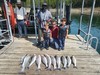 (08/27/2026) - Nice Striped Bass