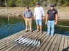 (08/28/2026) - Nice Striped Bass
