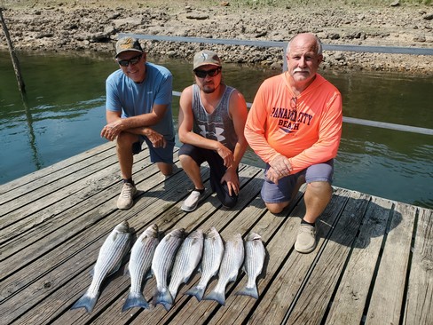 Nice Striped Bass