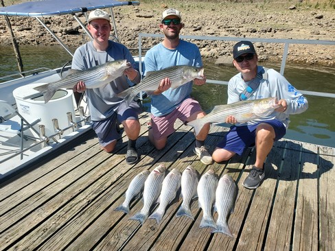 Nice Striped Bass