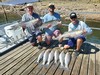 (09/04/2026) - Nice Striped Bass