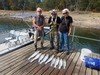 (09/08/2026) - Nice Striped Bass