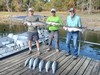 (09/12/2026) - Nice Striped Bass