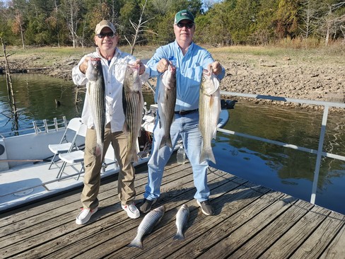 Nice Striped Bass