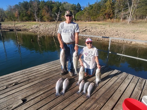 Nice Striped Bass